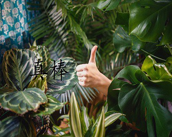 compliments in mandarin chinese