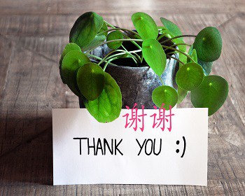 chinese thank you