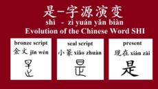 How To Use The Chinese Word SHI